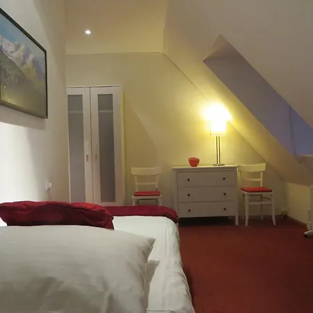 埃里卡豪斯酒店 住宿加早餐酒店